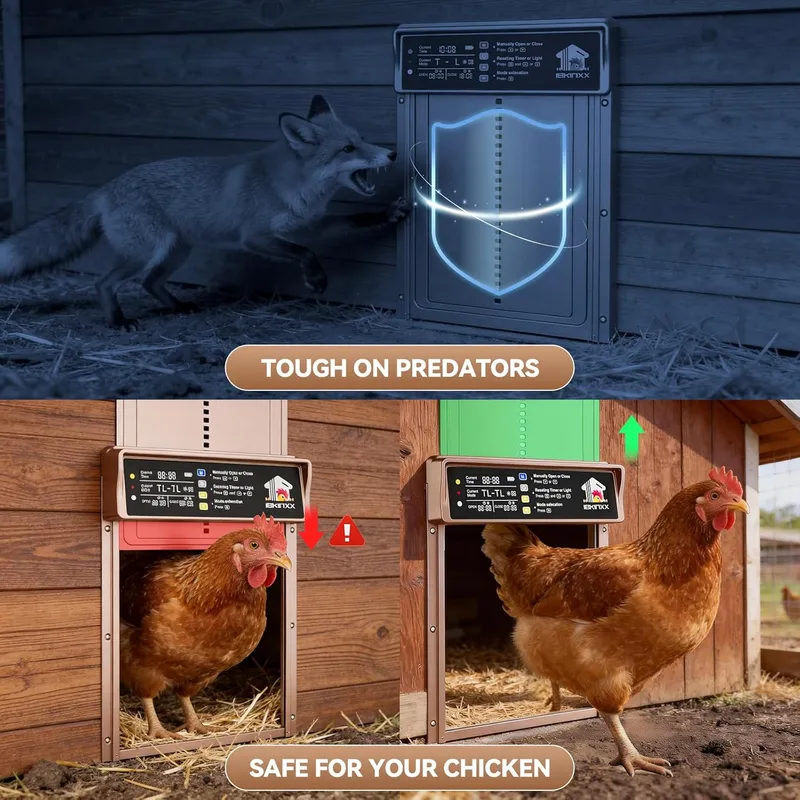 IBKINXX Automatic Chicken Coop Door Solar Powered, Gold