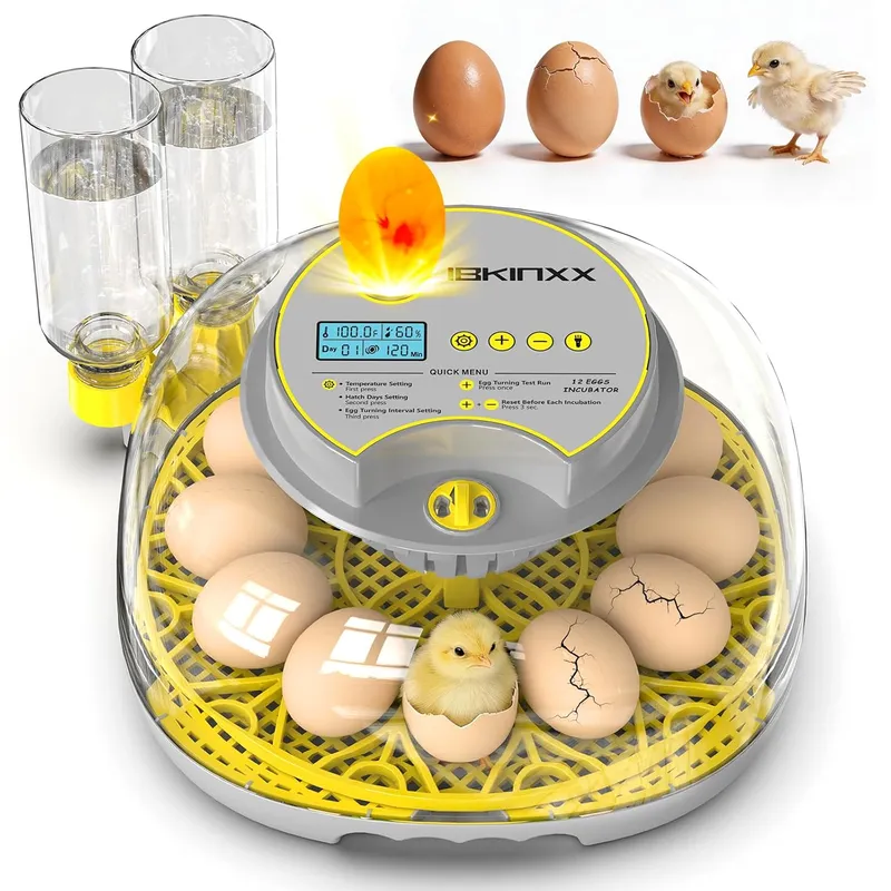 IBKINXX Incubator for Hatching Eggs-12 Egg Capacity