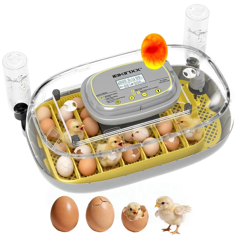 IBKINXX Incubator for Hatching Eggs-24 Egg Capacity
