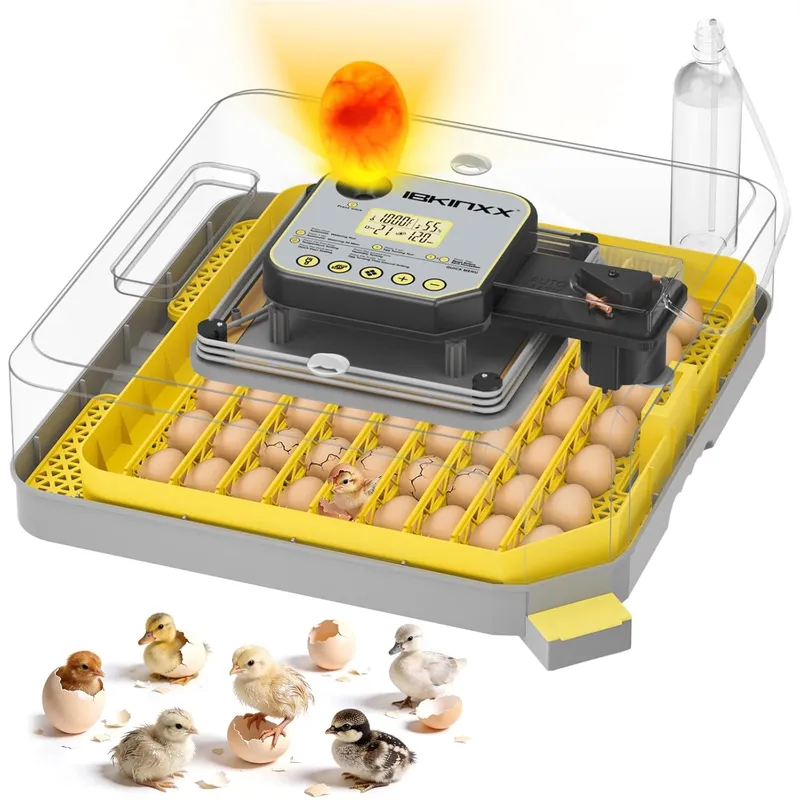 IBKINXX Incubator for Hatching Eggs-48 Egg Capacity